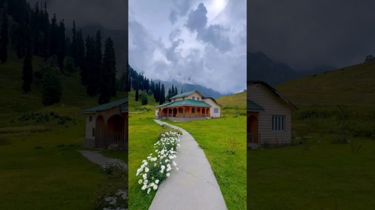 The Beauty Of Kashmir || song ❤️|| #hindisong #love #ytshorts #jannatkashmir #mountains