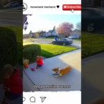 The last one! Dog protects owner #pet# dog #animal