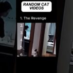 Top 6 Pet Fails That Are Totally EPIC