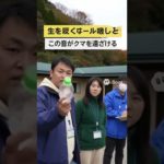 ペットボトルのパコパコ音…クマ嫌い？　文科省、教委に対策通知 #ニュース #ai