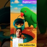 parrot | facts | funny | kahani |greenparrot |green pet |funny parrot |funny pet |cute parrot |