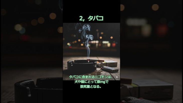 ペットが誤って食べると危険なもの part1  #雑学 #豆知識 #毒 #ペット #子供 #注意喚起 #健康