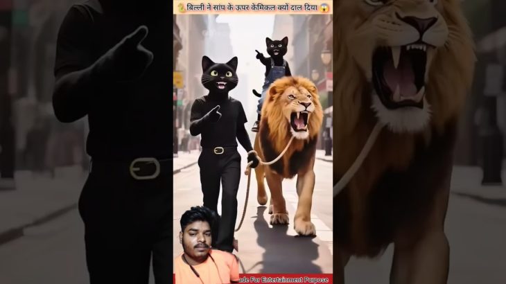 #pet #viralvideo #funny #cartoon #kitten #catvideos #animation #facts