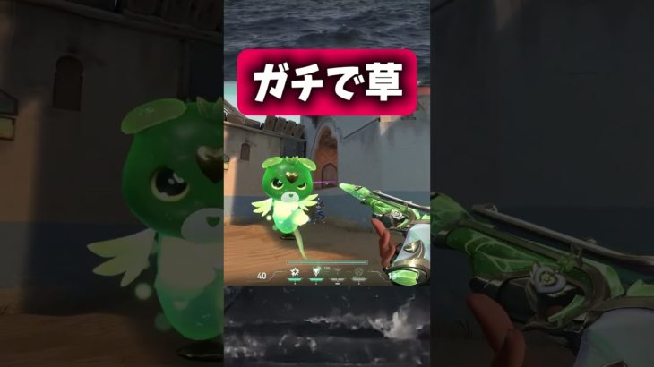 【速報】味方の珍playにツボりすぎてペットボトルで溺れそうになる配信者wwww#無名のおにぎり #沼クリップ製造機 #yfp #valorant