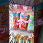 麦茶にめちゃ可愛いペットボトルホルダー付いてた！！#sanrio #kuromi #mymelody #shorts