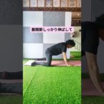 伸ばして鍛える#ダイエット #宅トレ #産後ダイエット #お腹痩せ #shorts