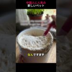 中国で新し​​く大人気のペット飼育!🤔#shorts