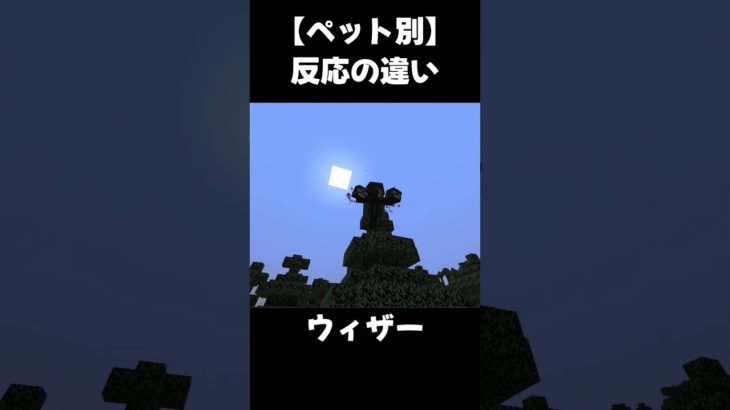 【ペット別】反応の違い#shorts