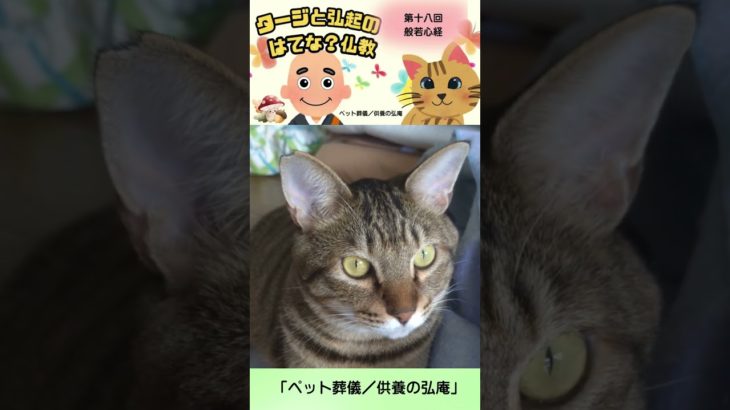 ペット葬儀/供養の弘庵　　　　　　　　　　　　　　　　　　　　　　　　　　　　　　　＃仏教　＃法話　＃ペット供養　＃shorts