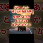 【ジビエ・ペットフード・地域活用】駆除された熊やイノシシはその後どうなる？進化するサステナブルな取り組み #雑学 #プチ知識 #一分でわかる #shortsvideo #ショート #ライフハック