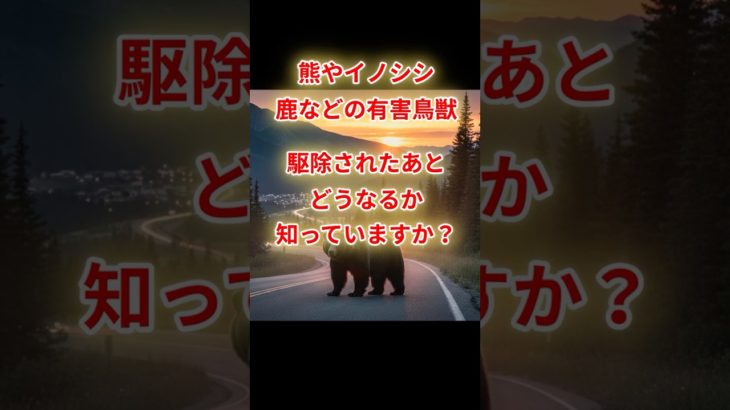 【ジビエ・ペットフード・地域活用】駆除された熊やイノシシはその後どうなる？進化するサステナブルな取り組み #雑学 #プチ知識 #一分でわかる #shortsvideo #ショート #ライフハック