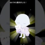 フィッシャーズ＆ピグパーティ成立画像、フィッシャーズの方写ってないのもあります💦