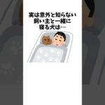 犬と寝る習慣に隠された効果　#犬 #ペット #雑学