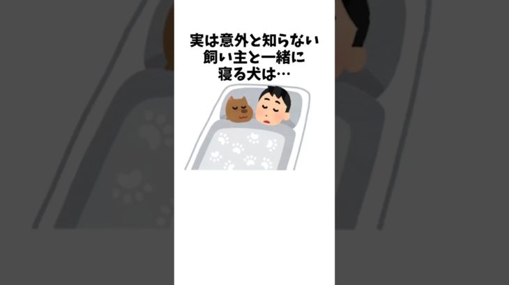 犬と寝る習慣に隠された効果　#犬 #ペット #雑学