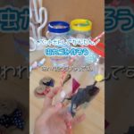 【保育園・幼稚園】ペットボトルで手作り虫かごを作ろう！【どんぐり入れにもピッタリ】