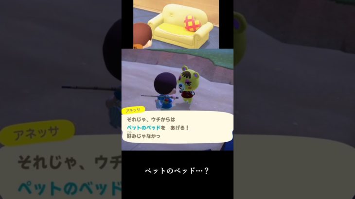 【あつ森】ペットのベッドで情緒乱される坊主 #あつ森 #ゲーム実況