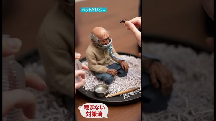 女子高生の間で小型のおじさんをペットにするのがブーム