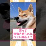 買って後悔させられたペット用品