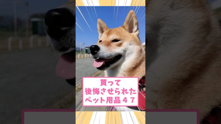 買って後悔させられたペット用品