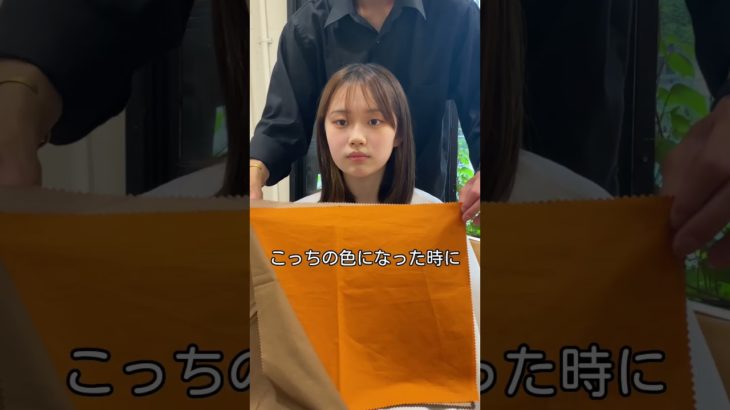 似合う髪色、メイクわからない方お任せください✨#パーソナルカラー診断 #顔タイプ診断 #ブルベメイク #イエベメイク #銀座美容室