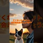 【ブッダの教え】亡くなったペットとまた会えるのでしょうか #ブッダの言葉 #ブッダの智慧 #開運 #金運 #仏教 #釈迦 #スピリチュアル