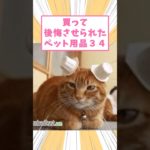 買って後悔させられたペット用品　#猫