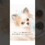 ペットロスの乗り越え方、私の経験です