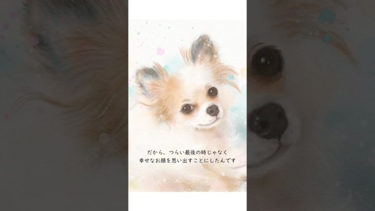 ペットロスの乗り越え方、私の経験です