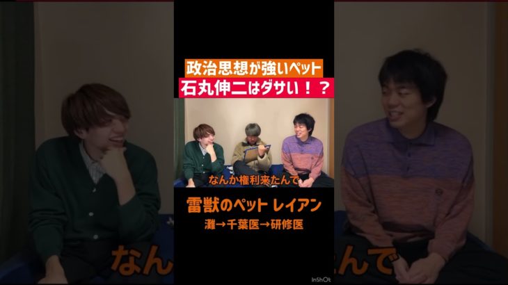【政治】思想強めのペット🐕　#雷獣 #お笑い #ベテランち #かべ #政治 #石丸伸二 #灘校 #ペット #癒し動画