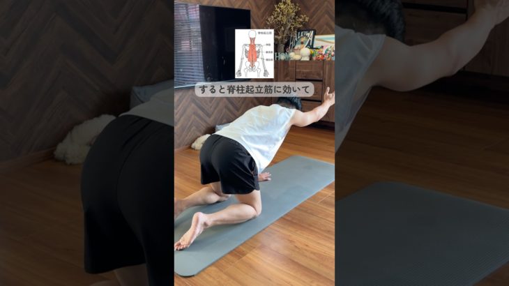 猫背・巻き肩改善！#ダイエット #宅トレ #姿勢改善 #産後ダイエット