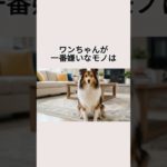 ワンちゃんが一番嫌いなモノは・・・ #ペット #犬 #雑学 #嫌いなモノ