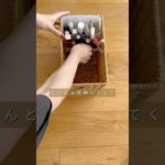 整理収納アドバイザーがメイクボックスを買う！ #メイクボックス #メイクアイテム収納 #暮らしを整える