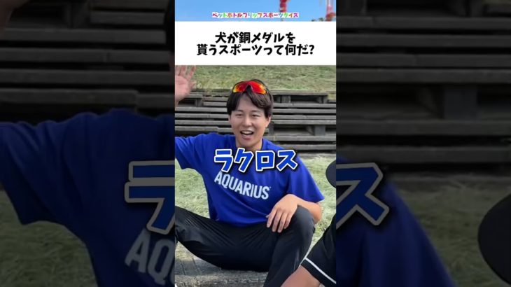 えんどれす【ペットボトルフリップ成功したら解答権スポーツクイズ】#スポーツあるある #スポーツやろうよ #野球 #あるある #スポーツ