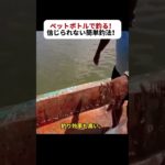 ペットボトルで釣る！ 信じられない簡単釣法！  #ペットボトル釣り #伝統釣法 #簡単釣り #魚捕獲 #インドの釣り