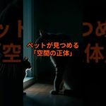 夜中に誰かが見ている？ペットが見つめる「空間の正体」【 怪談 予知 スピリチュアル オカルト 日本 】【予告編】