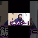 マリオのおねぇさん#フィッシャーズ切り抜き #フィッシャーズ #マリオ