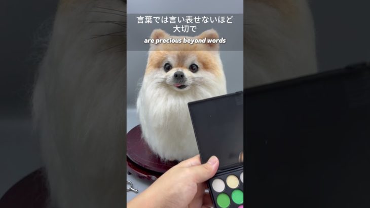 #羊毛フェルト #ペットロス #うちの子 #ペットは家族 #虹の橋 #犬のいる暮らし #猫のいる暮らし #ペットのいる生活 #愛犬との思い出 #大切な家族 #完全オーダーメイド#夢工房 #メモリアル