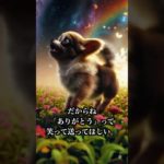 『「ごめんね」じゃなくて、「ありがとう」で見送って。』#感動 #泣ける #ペットロス