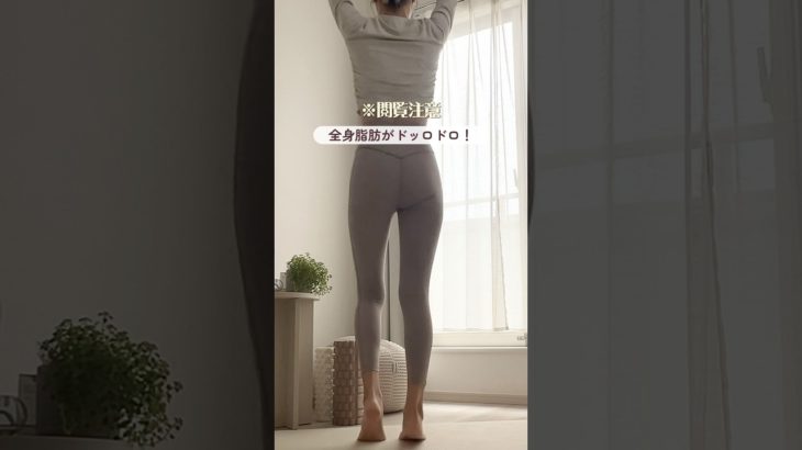 全身痩せはコレで叶えよっ😉🪄#ダイエット #垢抜け #やせる #ママダイエット #宅トレ #全身痩せ