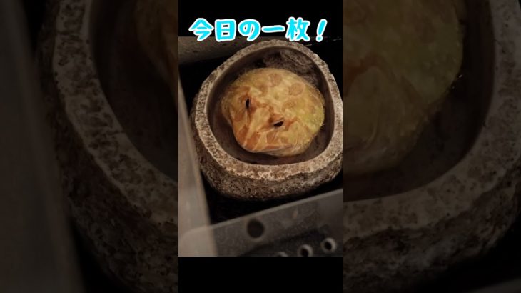 今日の一枚！(１)#ツノガエル #クランウェルツノガエル #カエル #ペット