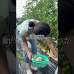 畑仕事が教えてくれる体の使い方 #ボディメイク #くびれ＃体幹