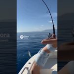 【釣りガール】目指せ大物！ #釣り女子 #釣りガール