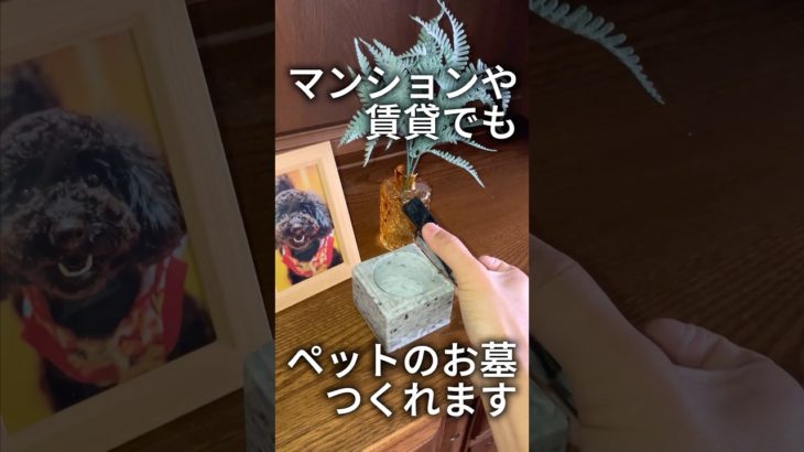 賃貸でもペットのお墓をつくれます #ペット #ペットロス #ペット供養