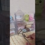 コスメいっぱい買った⸜(*ˊᗜˋ*)⸝💸 #ヘアメイクアップ #メイク