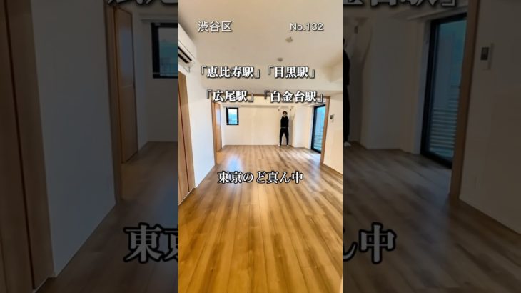 まさに東京のど真ん中物件#東京ペット可賃貸 #東京ペット可物件 #ペット可 #ペット共生マンション #ルームツアー #渋谷区賃貸#恵比寿駅