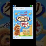 ペット用のお菓子を食ってる弟www