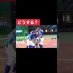 ンダホの胴上げが難しすぎたwww#フィッシャーズ #shorts #鬼ごっこ #シルクロード #マサイ #んだほ  #youtube  #おすすめ#fischers #ジュンピー