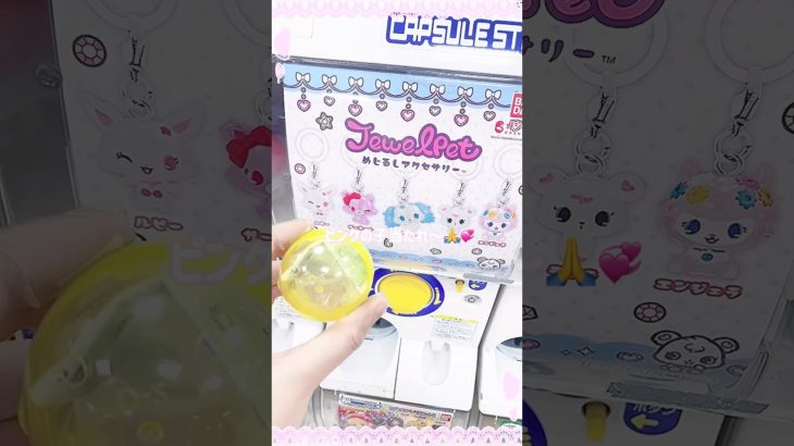 ジュエルペットのガチャガチャやっと見つけた💡#ジュエルペット #ガチャ動画 #1人行動 #バス #スタバ新作 #1日の過ごし方  #お出かけ動画 #vlog #ショッピングvlog #ランチ