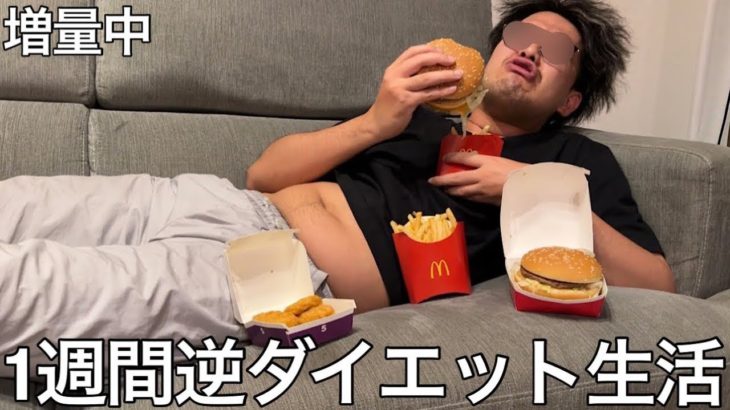 【旧実写】太り気味の奴に1週間逆ダイエット生活させたらドカ食い気絶し更にデブに磨きをかけて食べる喜びに幸せを覚えデブエットを成功させた