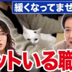 【職場にペット】求人10倍の企業も…癒し？集中できる？動物と働くメリットは｜アベプラ